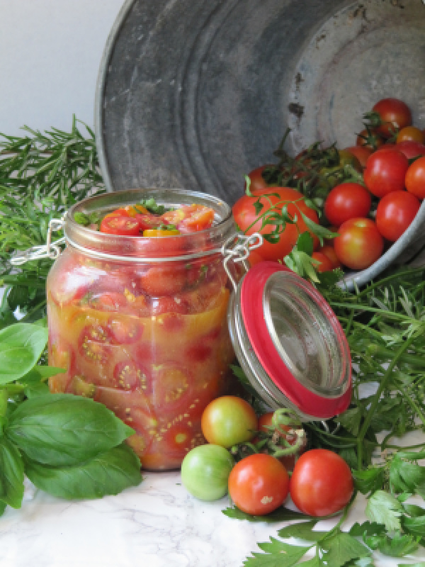 Marinated-tomatoes-basil in a jar with a galvanized bucket of tomatoes behind it