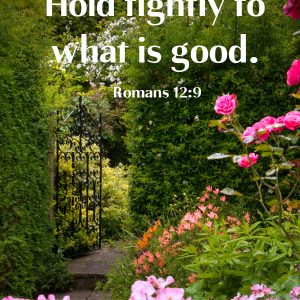 Hold tightly to what is good