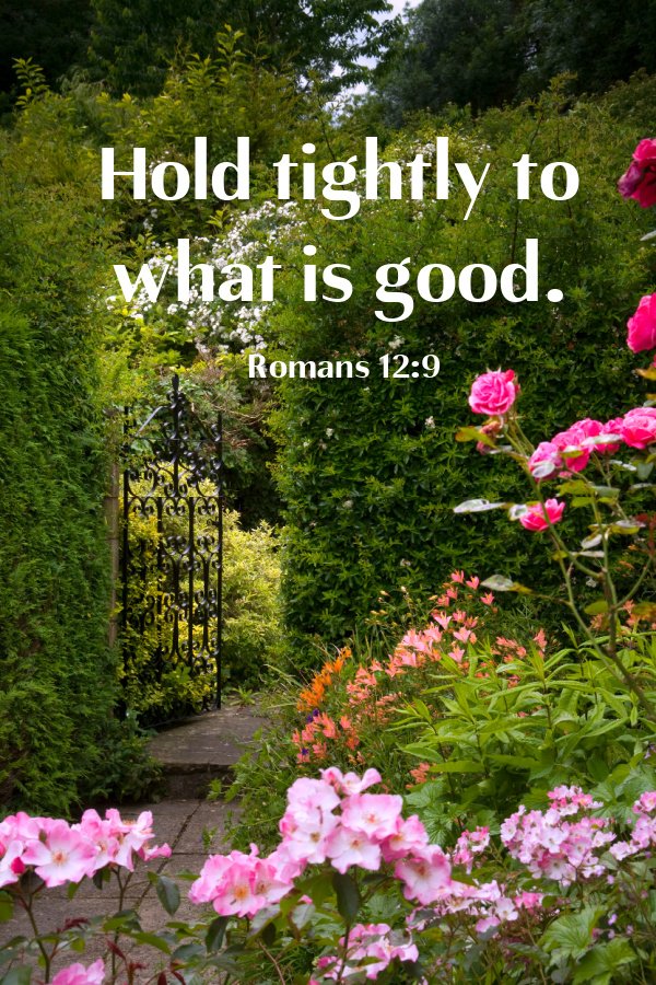 silent Sunday Hold tightly to what is good