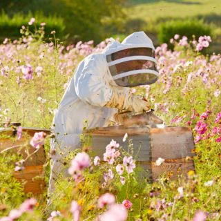 beekeeper in a field of flowers