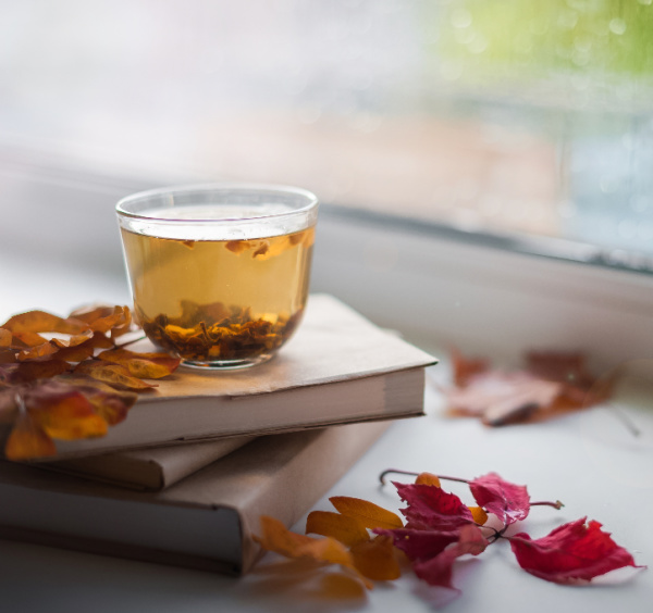cup oc tea in a clear glass witting on a pile of books with fall leaves