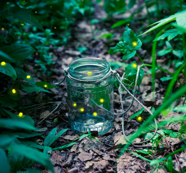 weekend meanderings fireflies in a jar