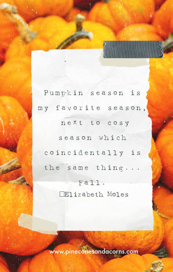 bunny williams weekend meanderings quote Pumpkin season is my favorite season, next to cosy season which coincidentally is the same thing...Fall.