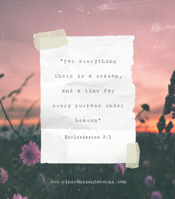 Ecclesiastes 3_1 to everything there is a season