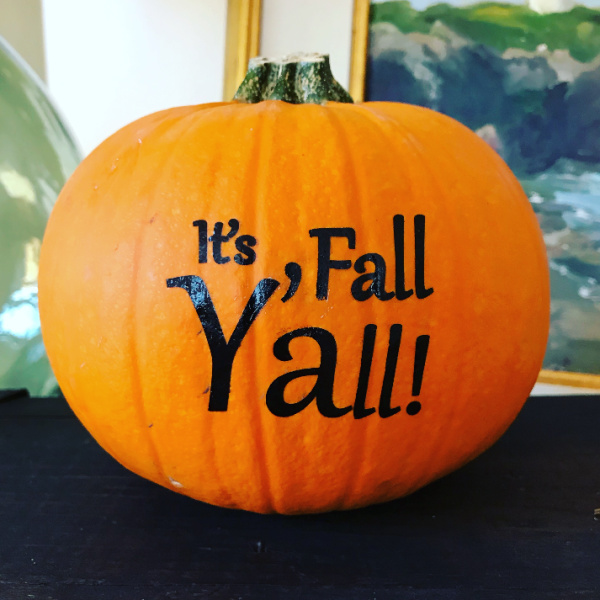 Its fall y'all mini pumpkin