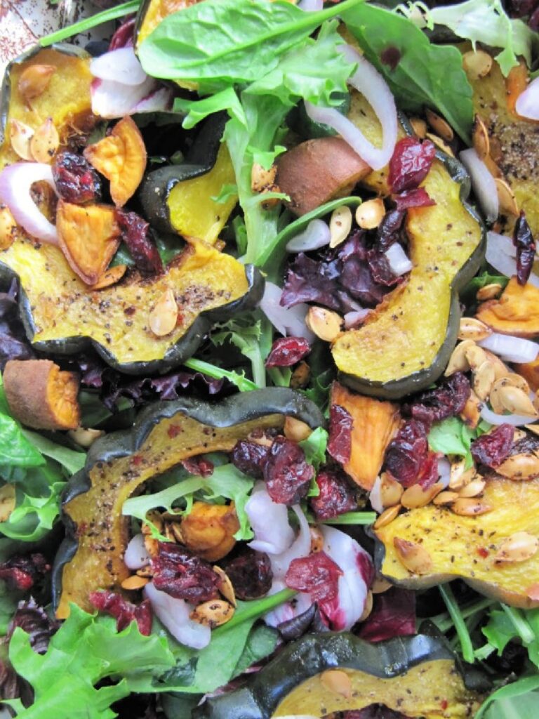 Roasted-acorn-salad-with-cranberries-shallots-and maple djion viniagrette dressing closeup