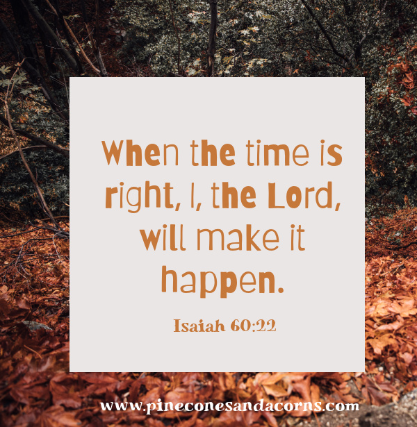 Silent Sunday-Isaiah 60_22