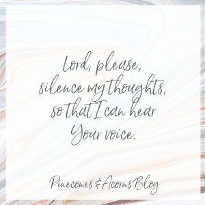 Silent Sunday Lords Silence my thoughts so that I can hear your voice.
