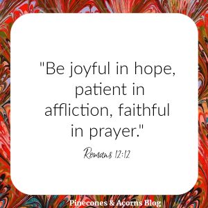 Silent Sunday Quote Be joyful in hope, patient in affliction, faithful in prayer. Romans 12_12