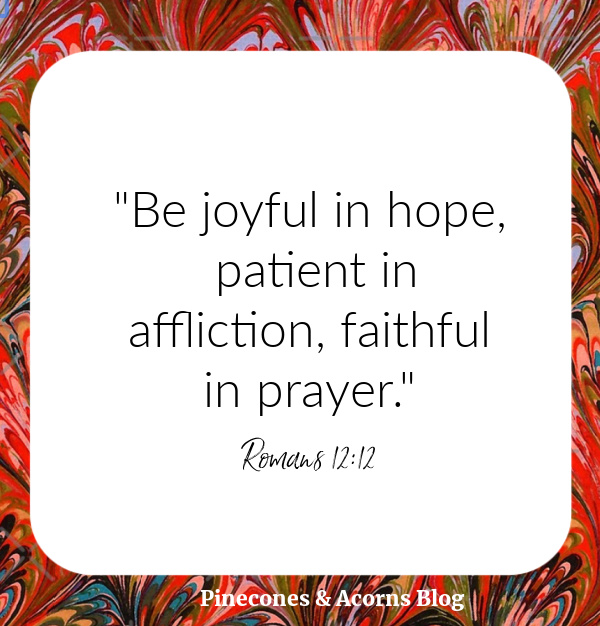 Silent Sunday Quote Be joyful in hope, patient in affliction, faithful in prayer. Romans 12_12