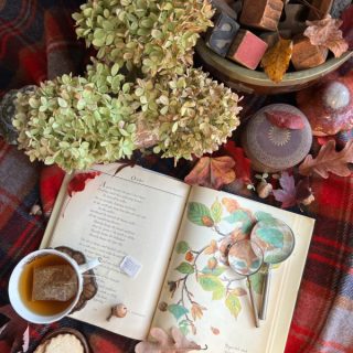 flatlay diary of a country lady tea dried hydragneas and cookies on a plaid blanket.