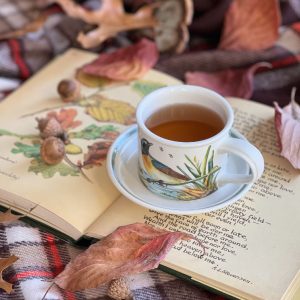 friday Favorites cup of tea with bird and a book with falling leaves on a plaid picnic blanket
