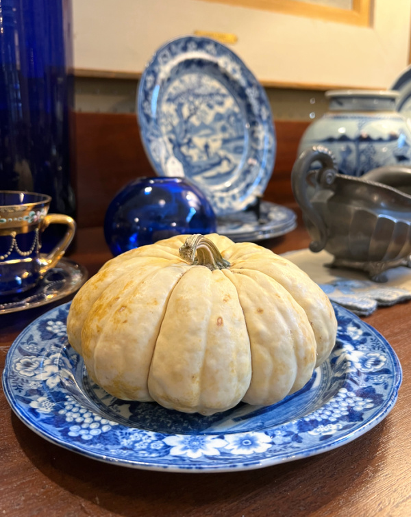 white pumpkin on a blue transfer ware plate