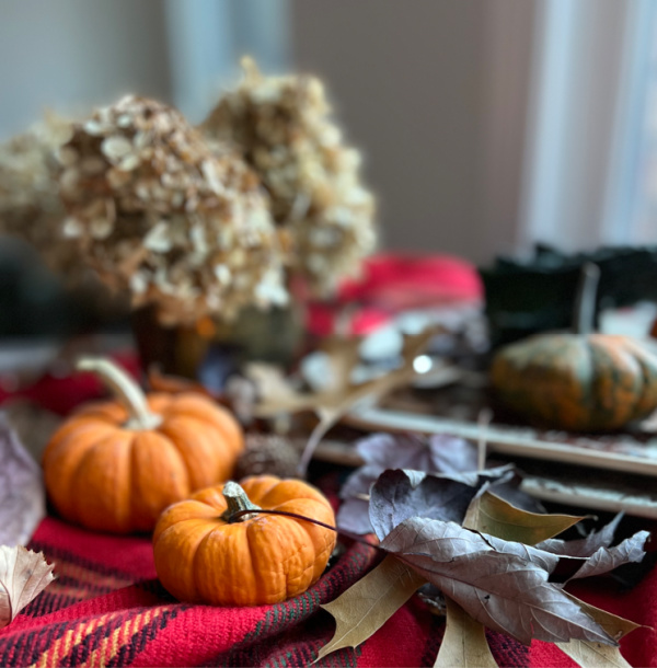 10 Ways to Practice Gratitude, Most Lovely Things In BHG, a Holiday Outfit and more on Weekend Meanderings