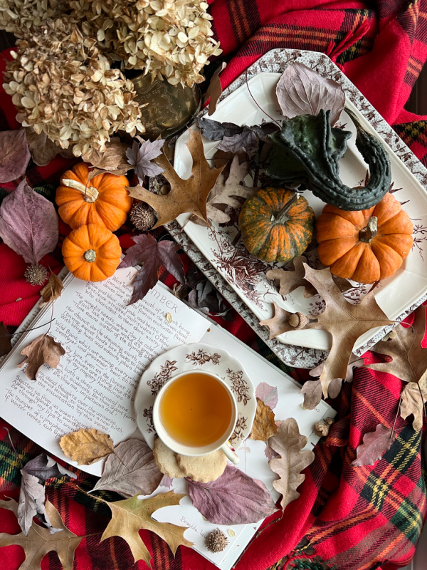 friday favorites flatlay with pumpkins books tea and plaid