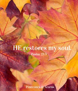 he restores. my soul