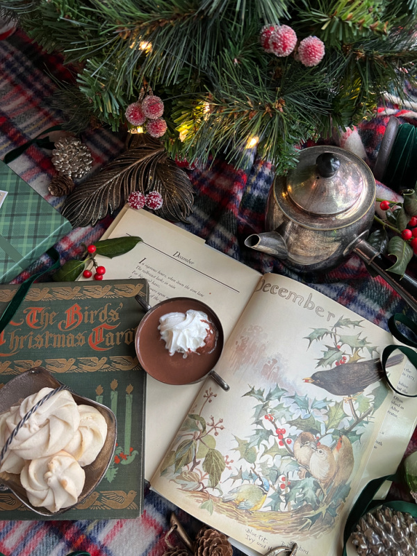 flatlay birds books hot chocolate and cookies