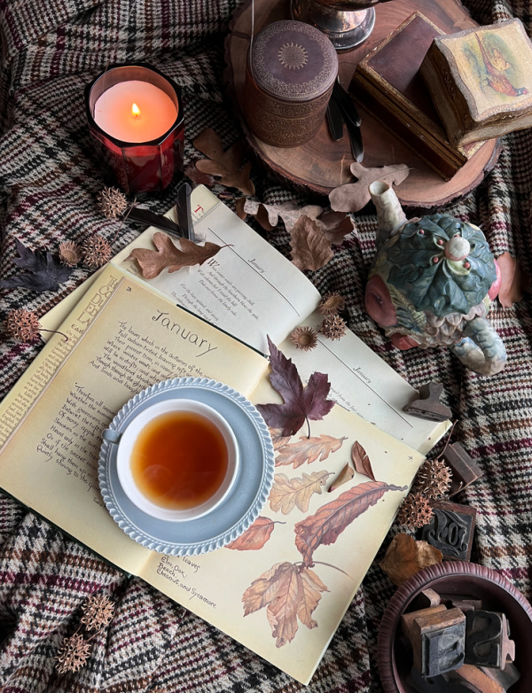 Flatlay photograph with two open books with a cup of tea laying on a plaid blanket surrounded by a teapot, dry leaves and a candle.