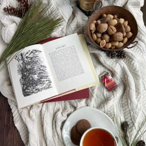 Flatlay photo with a book, tea, pine and nuts.