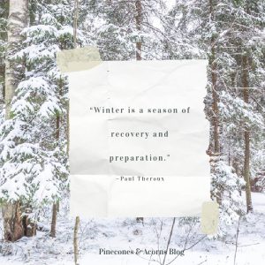“Winter is a season of recovery and preparation.” —Paul Theroux