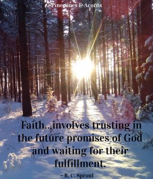 Faith...involves trusting in the future promises of God and waiting for their fulfillment.