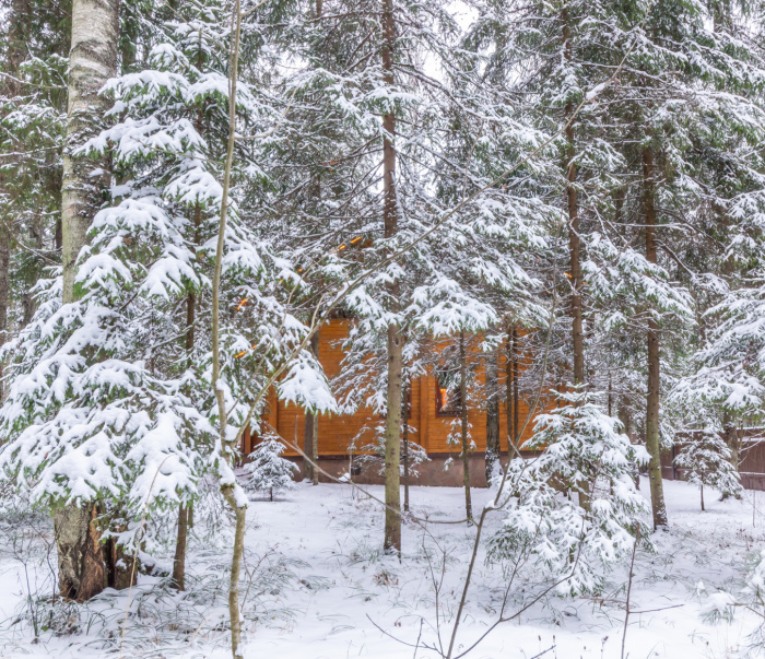 cabin in the winter snow.