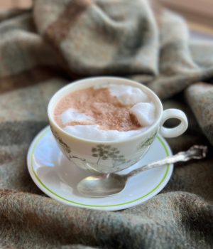 cup of hot chocolate witting on a green plaid blanket
