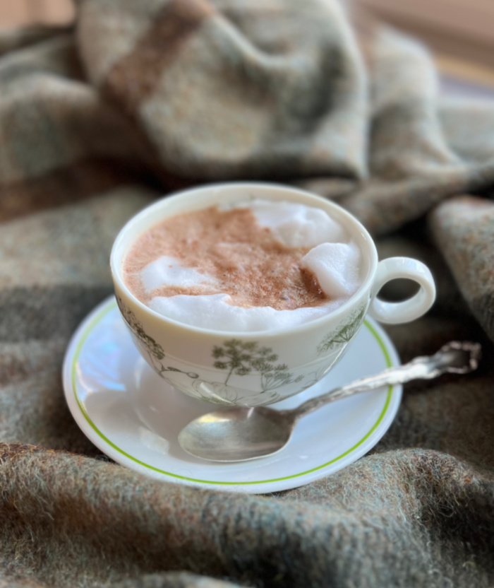 cup of hot chocolate witting on a green plaid blanket