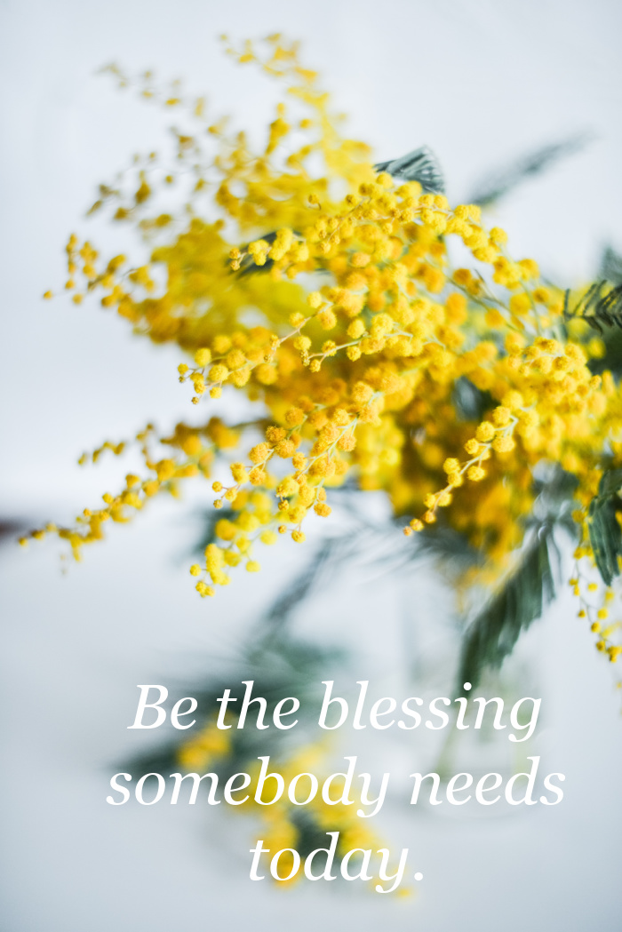 Be the blessing somebody needs today with yellow mimosa flowers in the background.