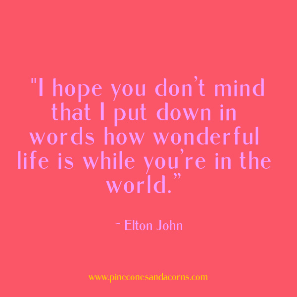 Monday Musings "I hope you don’t mind that I put down in words how wonderful life is while you’re in the world.” Elton John.