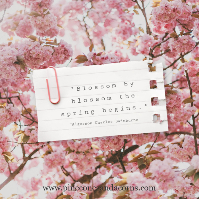 " Blossom by blossom the spring begins." — Algernon Charles Swinburne.