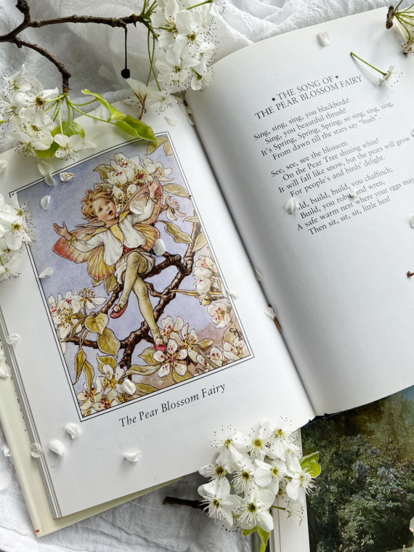 Pear Blossom Fairy Book and Flatlay.