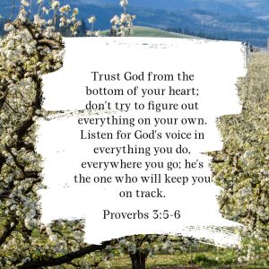 Proverbs 3 5:6 Trust God fro the bottom of your heart...
