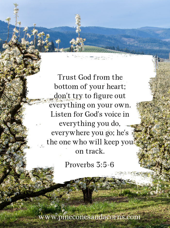 Proverbs 3 5:6 Trust God  fro the bottom of your heart...