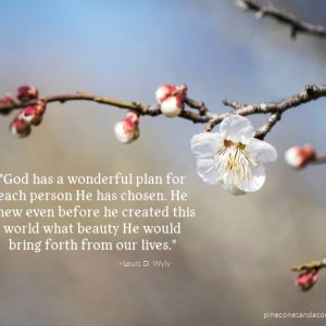 God has a wonderful plan for each person her has chosen.