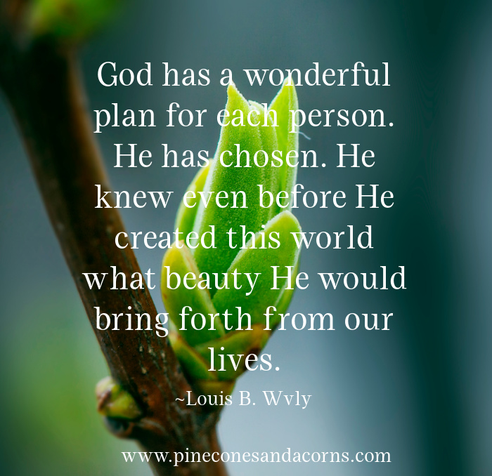 Quote Louis B. Wylv God has a plan for each person He has chosen.
