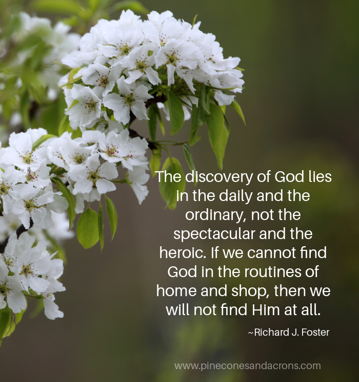 The Discovery of God lies on the daily and the ordinary, not in the spectacular and the heroic quote over a photo of pear blossoms. 
