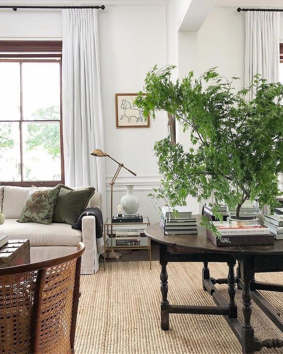 Steve Cordony room with white walls, large green branches. 