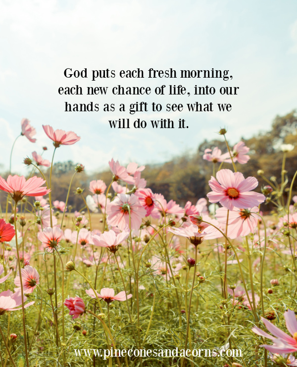 Silent Sunday quote God puts each day into our hands to see what we will do with it.