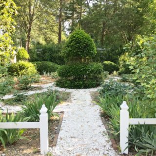 Throughout House Garden with white pe gravel stone path.