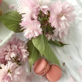 Cherry blossoms and 2 pink macaron cookies.