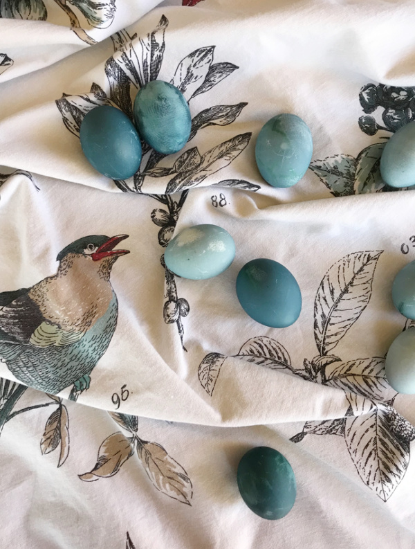 Naturally Dyed Blue Easter Eggs Cabbage