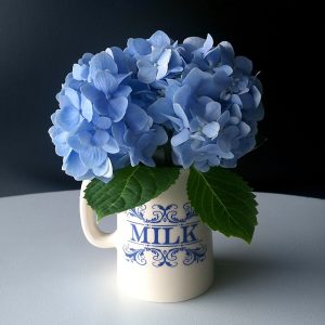 blue hydrangea in a white pitcher with Milk in script on the front