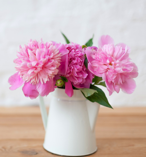 mothers day gift ideas pink peonies in a white pitcher.