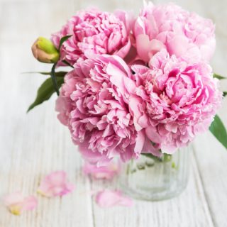 pink peonies in a glass vase.