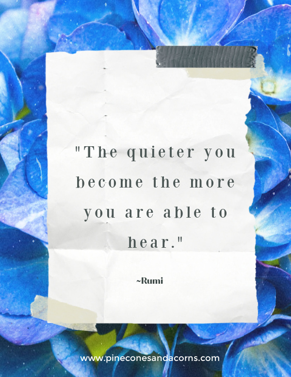 the quieter you become the more you are able to hear. Rumi.