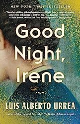 Book cover of Good night Irene