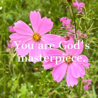Quote-you are Gods masterpiece-silent Sunday overlay on 2 pink flowers in a field.
