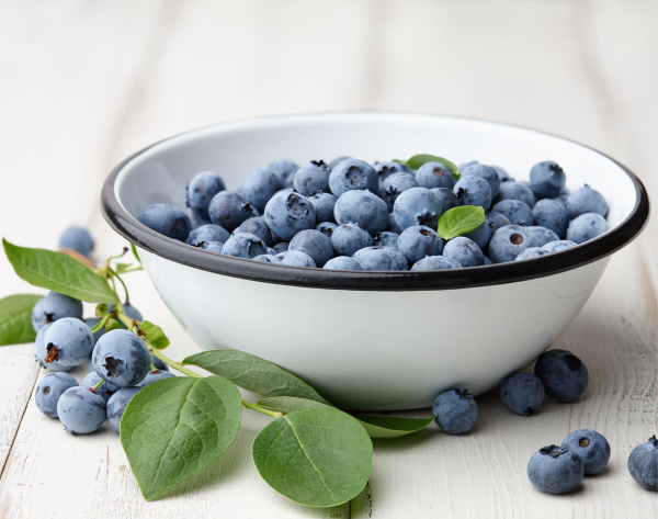 blueberries in a white enamel bowl.