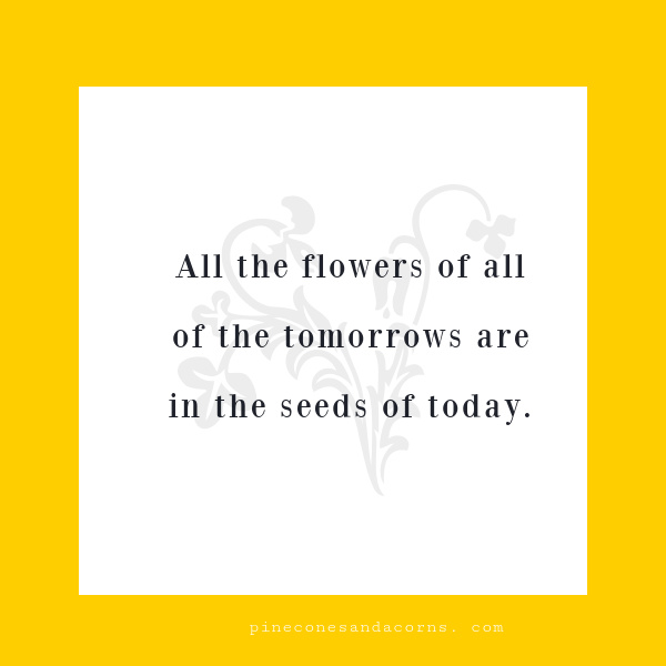 all the flowers of all of the tomorrows are in the seeds of today.
